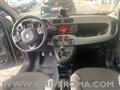 FIAT PANDA 1.0 FireFly Hybrid City-Life + gpl