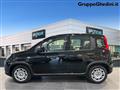 FIAT PANDA 1.0 FireFly S&S Hybrid Pandina