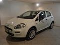 FIAT PUNTO 1.4 8V 5 porte Natural Power Street