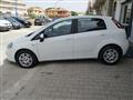 FIAT PUNTO 1.3 MJT  75 CV 5 porte Dynamic