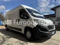 FIAT DUCATO Coibentato Isotermico Frigorifero