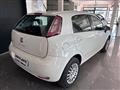 FIAT PUNTO 1.4 8V 5 porte Natural Power Young