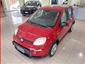 FIAT Panda 1.0 FireFly S&S Hybrid MY24 KM ZERO!!! IVATA NEOPATENTATI