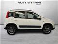 FIAT PANDA CROSS 4x4 1.3 Multijet 16v 95cv 4x4 S S