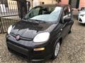 FIAT PANDA 1.0 FireFly S&S Hybrid Pandina