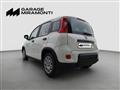 FIAT Panda 1.0 firefly hybrid s&s 70cv