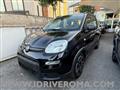 FIAT PANDA 1.0 FireFly Hybrid City-Life + gpl