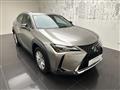 LEXUS UX Hybrid Business