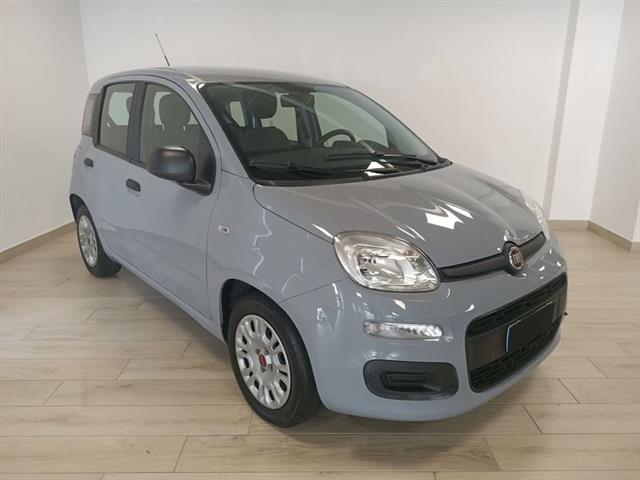 FIAT PANDA 3ª serie 1.0 FireFly S&S Hybrid