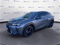 LEXUS UX Hybrid 4WD Midnight