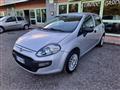 FIAT PUNTO 1.2 5 porte Active