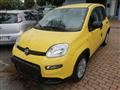 FIAT PANDA 1.0 FireFly S&S Hybrid Pandina