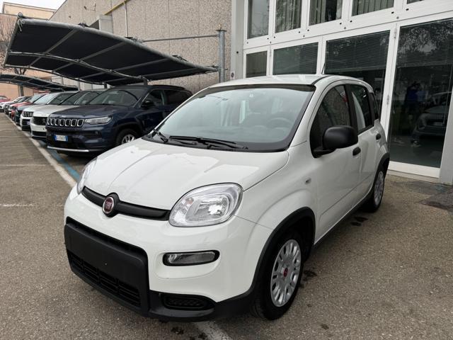 FIAT PANDA 1.0 FireFly  Hybrid Monit. Digit.