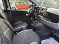 FIAT PANDA CROSS 1.0 HYBRID GSE CITYLIFE 70cv