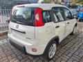 FIAT Panda 1.0 firefly hybrid s&s 70cv PREZZO REALE