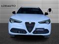 ALFA ROMEO STELVIO 2.2 Turbodiesel 210 CV AT8 Q4 Veloce Tì