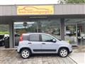 FIAT PANDA 1.0 FireFly S&S Hybrid City Life - OK NEOPATENTATI