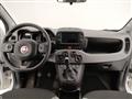 FIAT PANDA 1.0 firefly hybrid City Life s&s 70cv 5p.ti