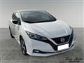 NISSAN LEAF e+ 10th Anniversary