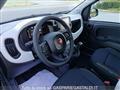 FIAT PANDA 1.0 FireFly S&S Hybrid Pandina