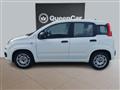 FIAT PANDA CROSS 1.0 FireFly S&S Hybrid 5 P.TI