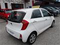 KIA PICANTO 1.0 12V 5 porte Cool NEOPATENTATI