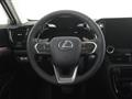 LEXUS NX NX Hybrid 4WD Luxury