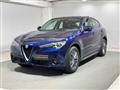 ALFA ROMEO STELVIO 2.2 Turbodiesel 190 CV AT8 Q4 Business