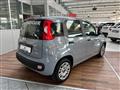 FIAT PANDA 1.0 FireFly S&S Hybrid Easy - 5 POSTI, NEOPAT