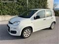 FIAT PANDA 1.3 mjt 16v Pop 75cv NEOPATENTATI - EW389BH