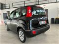 FIAT PANDA 1.2 Lounge 69CV Neopatentati Ok