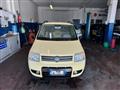 FIAT PANDA RECANATI - NEOPATENTATI - 1.2 4x4 Climbing