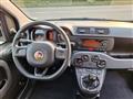 FIAT PANDA 1.2 Easy  X NEOPATENTATI   FY023