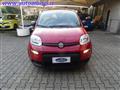 FIAT PANDA 1.0 FIREFLY 70 CV S&S HYBRID KM0