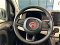 FIAT PANDA 1.0 FireFly S&S Hybrid Pandina