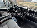 FIAT DUCATO Coibentato Isotermico Frigorifero