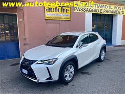 LEXUS UX Hybrid Business