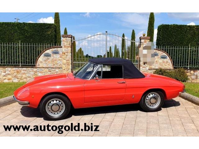 ALFA ROMEO SPIDER 1750  ossi di seppia