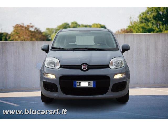 FIAT PANDA 1.0 FireFly S&S Hybrid Easy