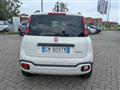 FIAT PANDA CROSS Panda Cross 1.0 FireFly S&S Hybrid