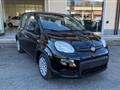 FIAT PANDA 1.0 FireFly S&S Hybrid Pandina