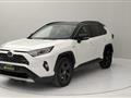 TOYOTA RAV4 2.5 vvt-ie h Style awd-i 222cv e-cvt