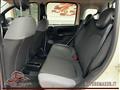 FIAT PANDA 1.2 Easy UNIPROPRIETARIO! PREZZO PROMO!