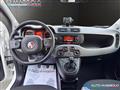 FIAT PANDA 1.0 FireFly S&S Hybrid City Life NEO PATENTATI