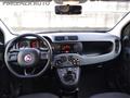 FIAT PANDA 1.2 Easy..PREZZO REALE