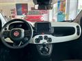 FIAT PANDA 1.0 FireFly S&S Hybrid Pandina