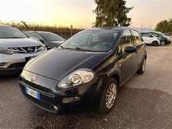 FIAT PUNTO 1.2 8V 5 porte Street OK NEO PATENTATI