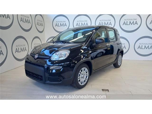 FIAT PANDA 1.0 FireFly S&S Hybrid Pandina