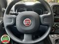 FIAT PANDA 1.0 FireFly S&S Hybrid Ok NEOPATENTATI