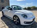 VOLKSWAGEN MAGGIOLINO Cabrio 1.4 TSI DSG Sport 60's (Fender/LED/Auto)